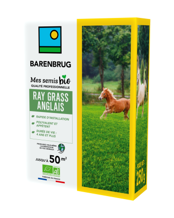 Ray-grass Anglais BIO Barenbrug | Semence Fourragère Pour Prairie - Rapide & Résistant | Fabriqué En France - 250g